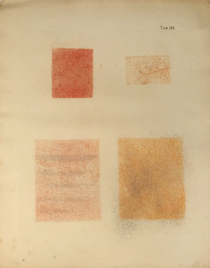 Icones Anatomico-Physiologicae Partium,