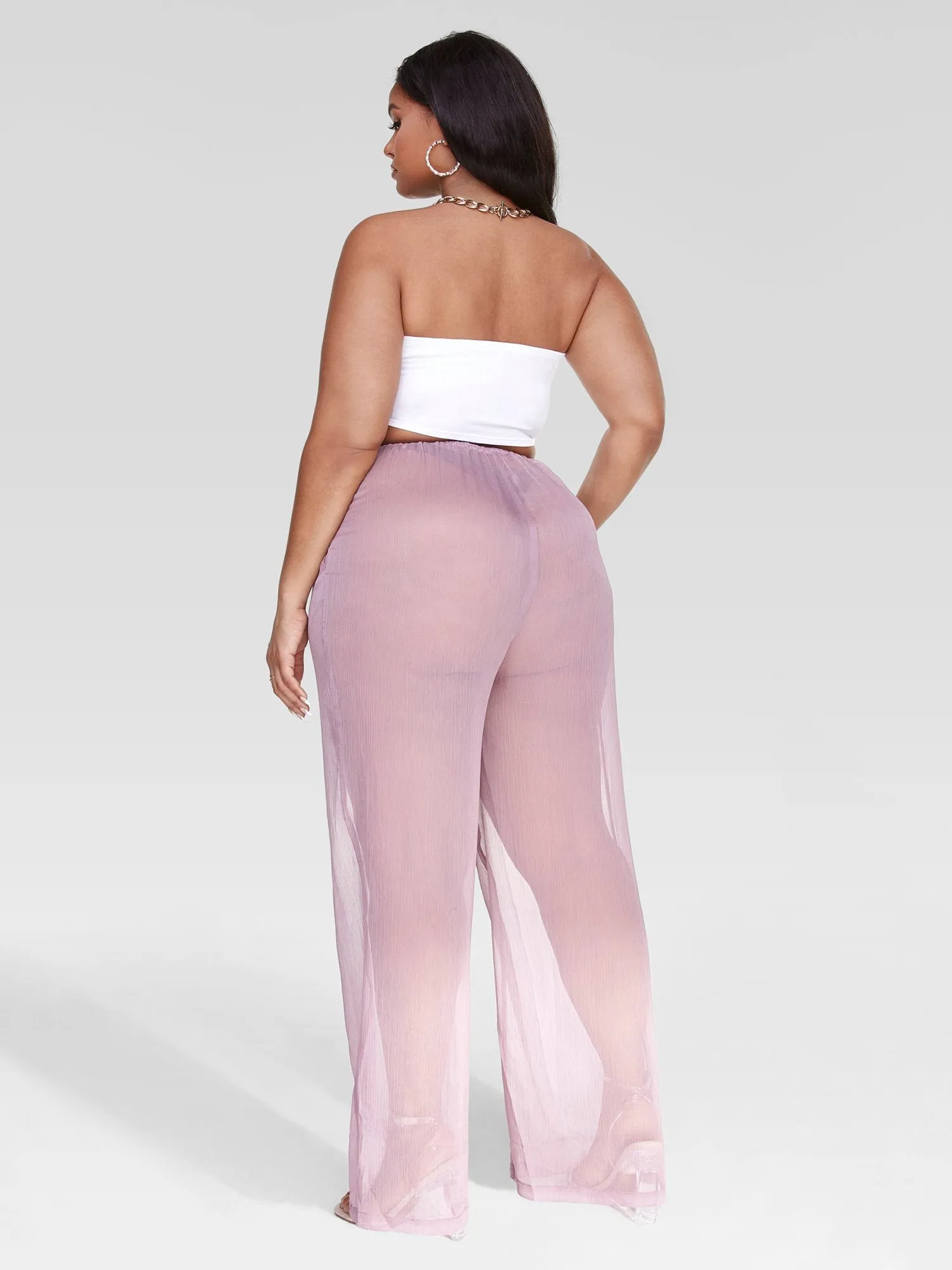 Lisette Sheer Wide Leg Pants